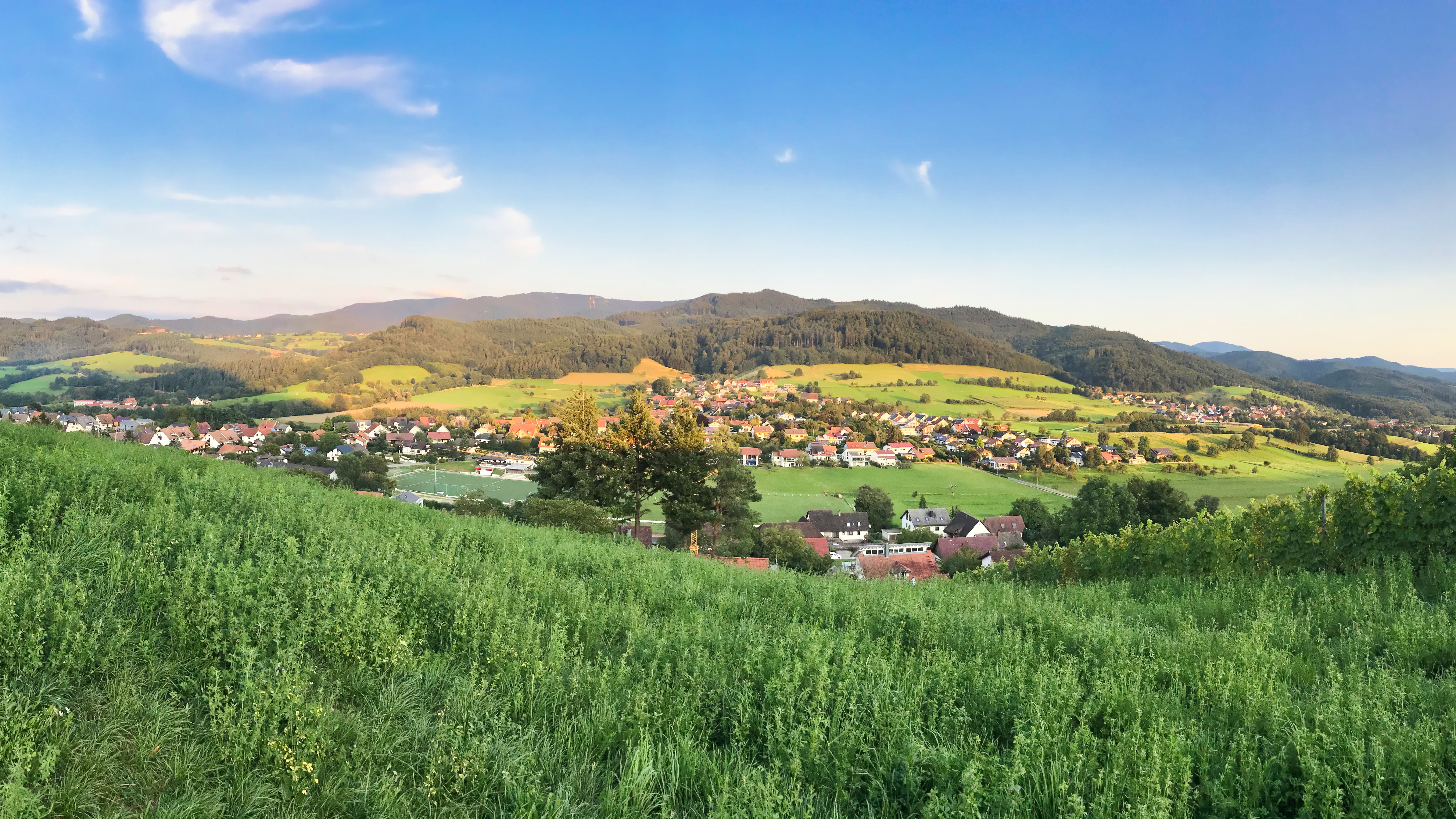 Panorama Grossbuck